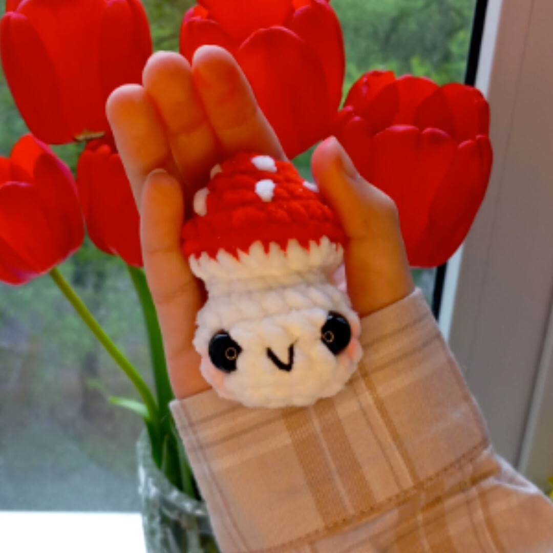 Грибочек, фото, картинка, схема, описание, бесплатно, крючком, амигуруми