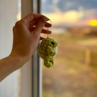 PDF Жабик схема вязаной игрушки крючком